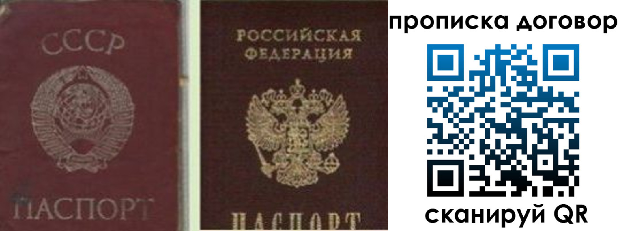 прописка гарантия в Саратовской области